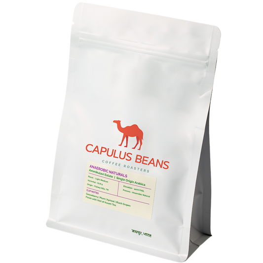 Anaerobic Arabica Naturals | Ammikulavi Estate