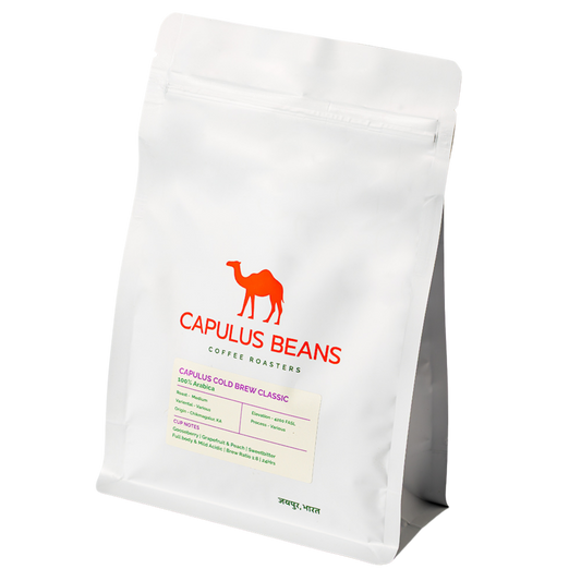 CAPULUS COLD BREW CLASSIC