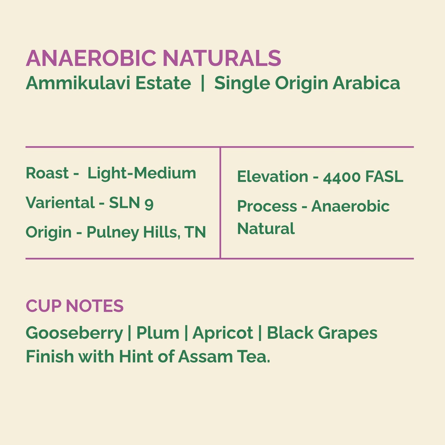 Anaerobic Arabica Naturals | Ammikulavi Estate