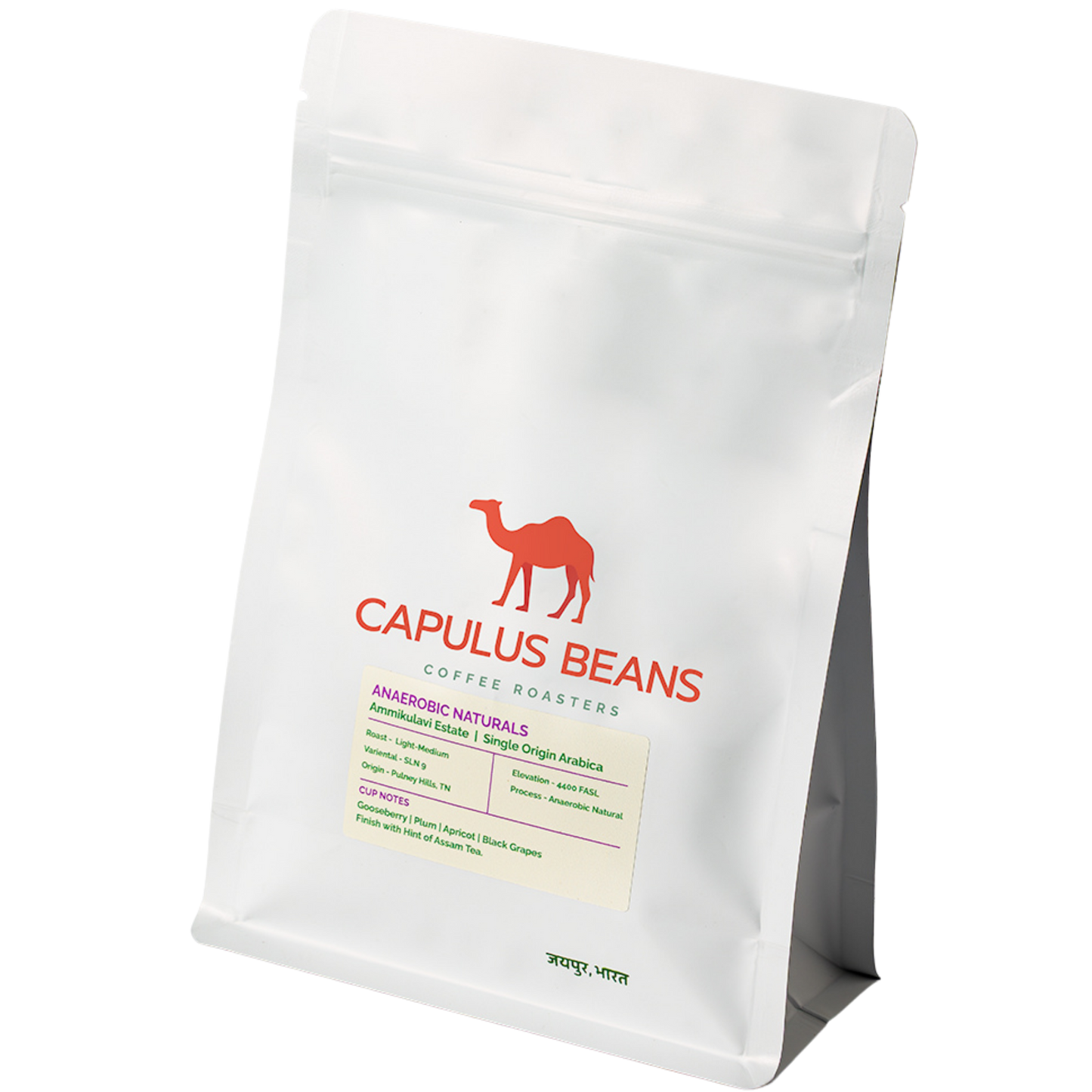 Anaerobic Arabica Naturals | Ammikulavi Estate