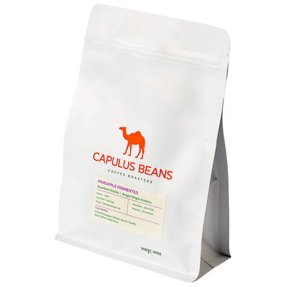 Pineapple Fermentation | Baarbara Estate