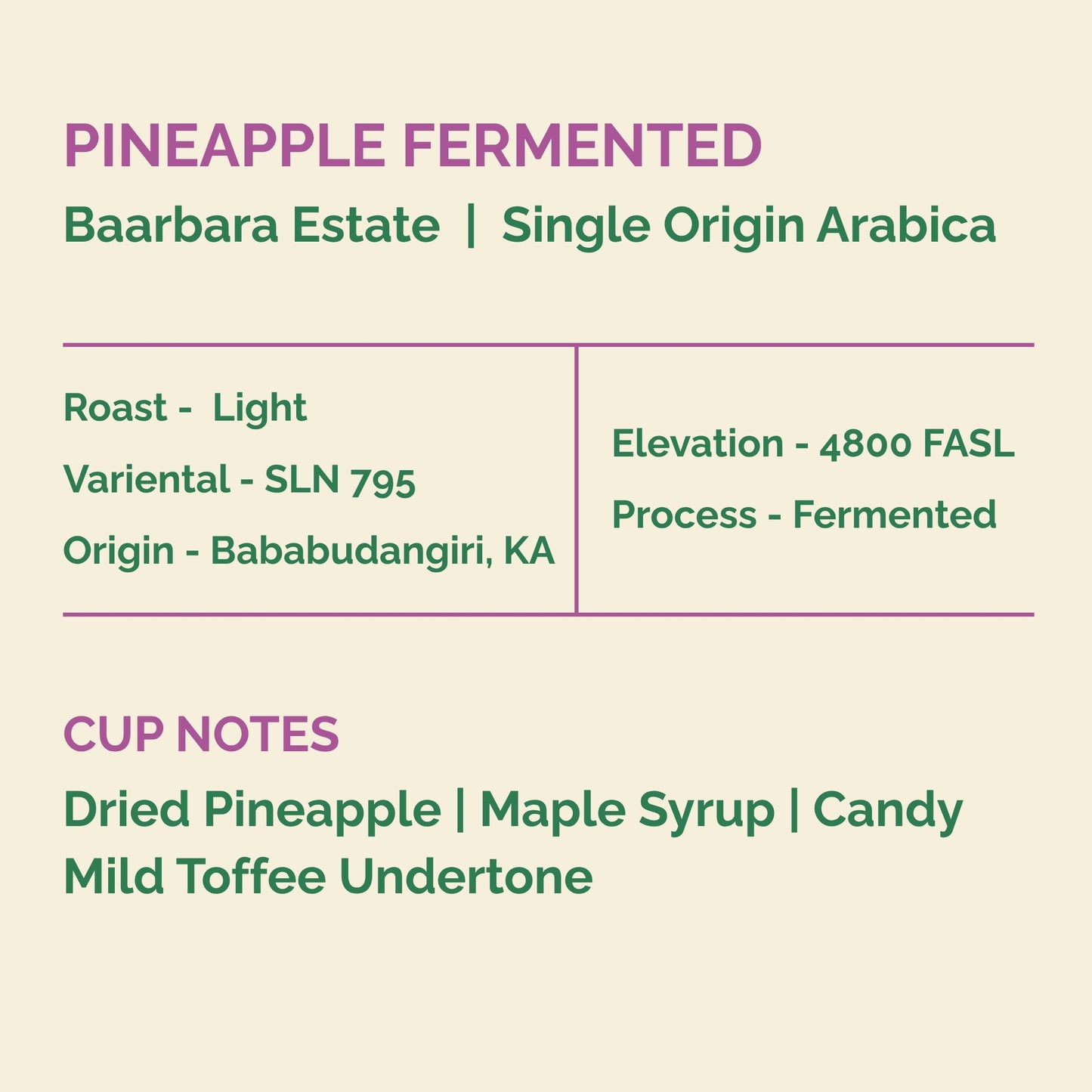 PINEAPPLE FERMENTATION | BAARBARA ESATATE
