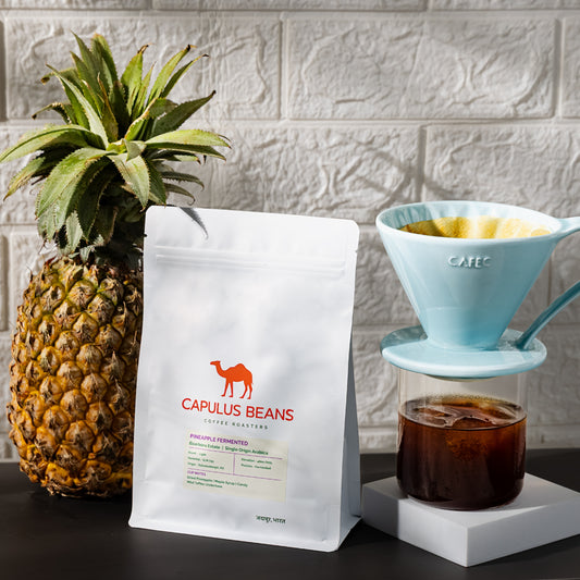 PINEAPPLE FERMENTATION | BAARBARA ESATATE